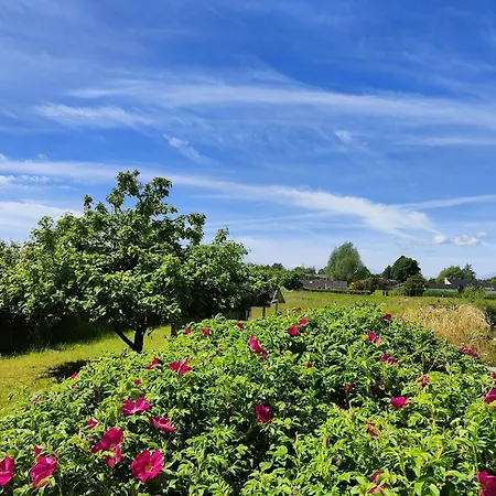 With View In Bisserup Prázdninový dům Rude (Sjaelland og Oerne)