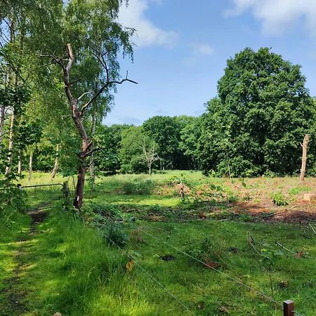 With View In Bisserup