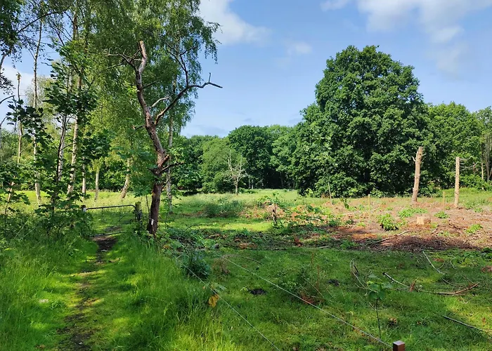 With View In Bisserup